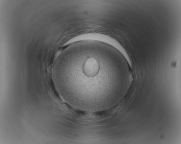 X0000112970276200909031052