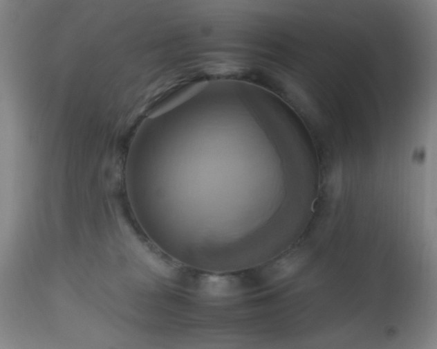 X0000112970277200909031052