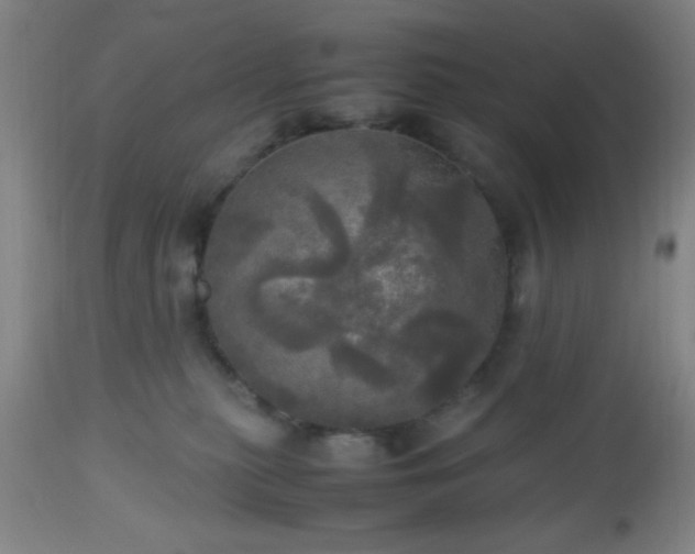 X0000112970279200909031053