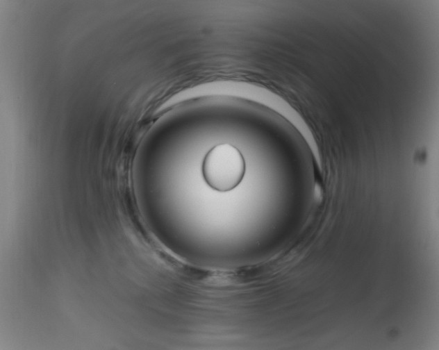 X0000112970280200909031053