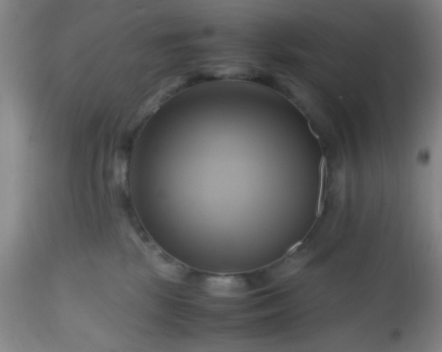 X0000112970281200909031053