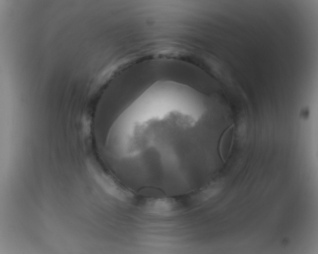 X0000112970282200909031053