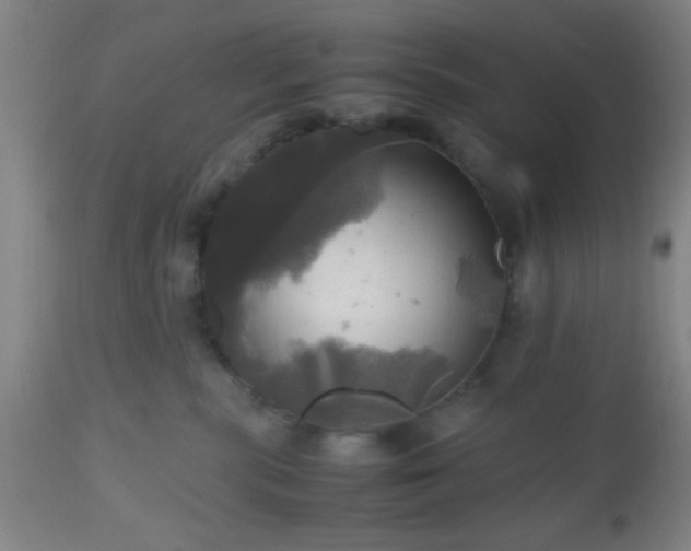 X0000112970283200909031053