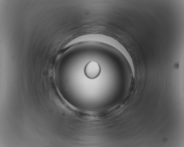 X0000112970284200909031053