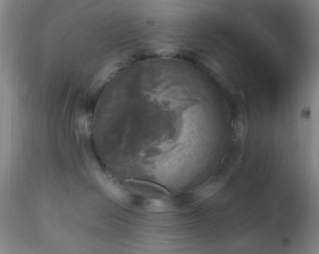 X0000112970286200909031053