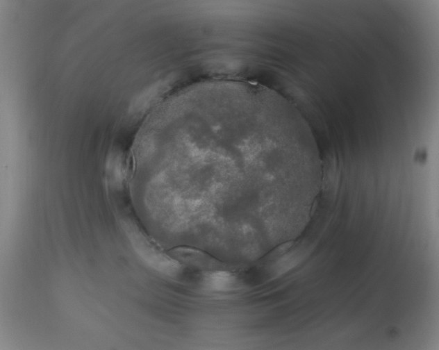 X0000112970287200909031053