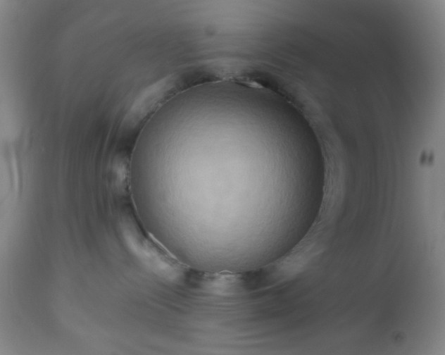 X0000112970288200909031053