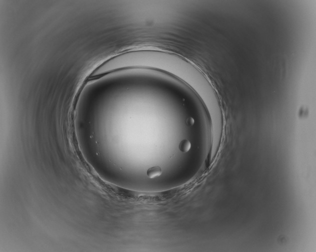 X0000112970289200909031052