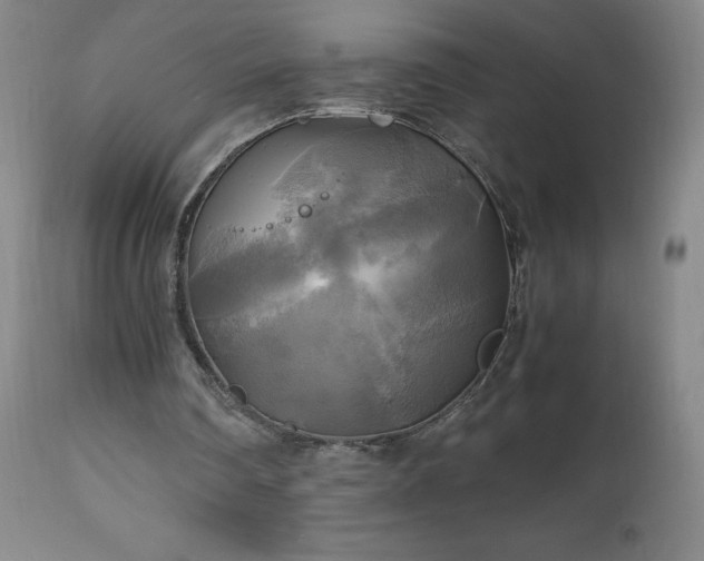 X0000112970290200909031052