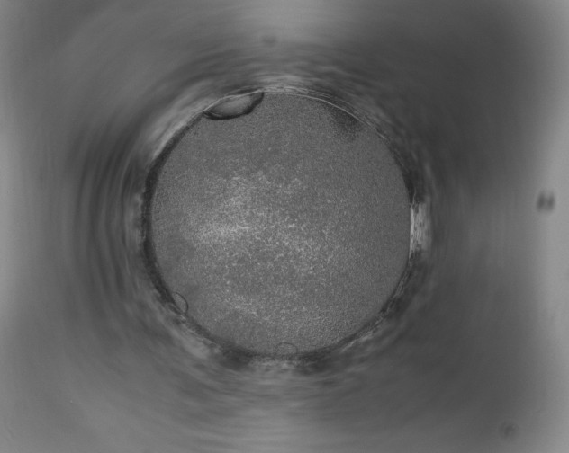 X0000112970291200909031052