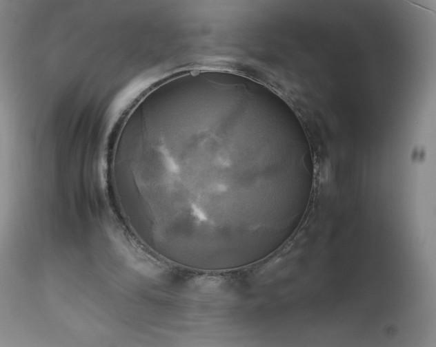 X0000112970294200909031052