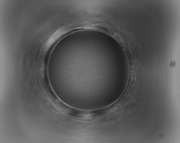 X0000112970295200909031052