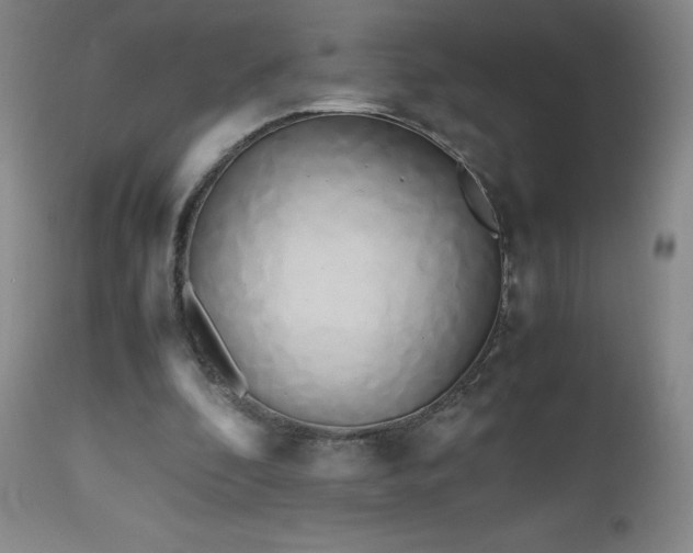 X0000112970296200909031052