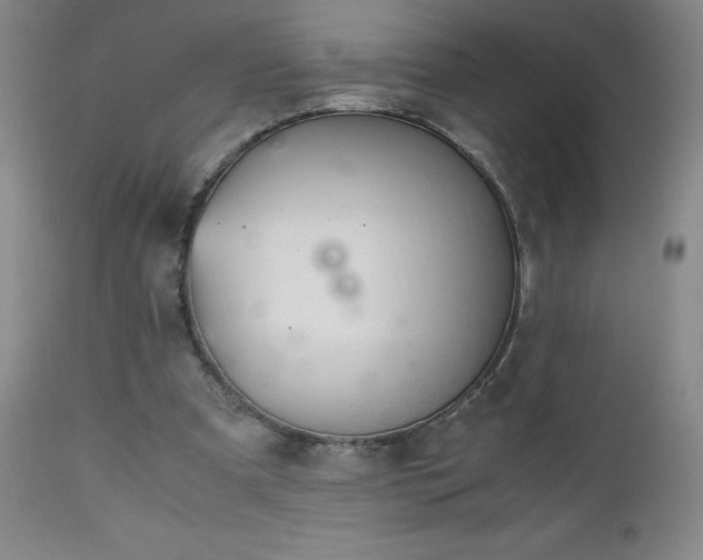 X0000112970297200909031052