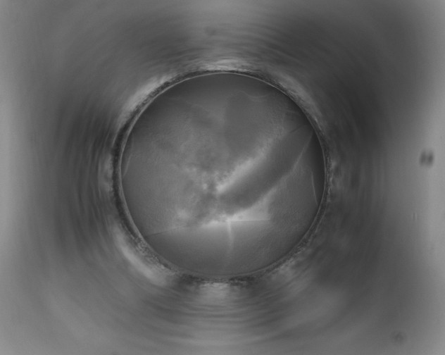 X0000112970298200909031052