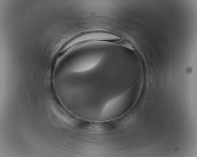 X0000112970299200909031052