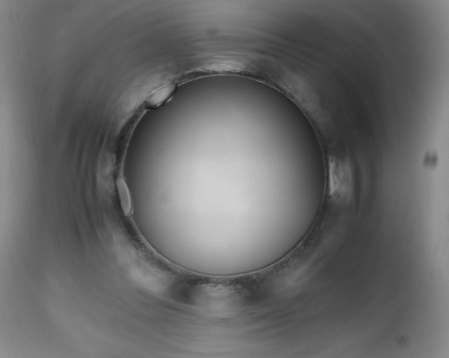 X0000112970300200909031052