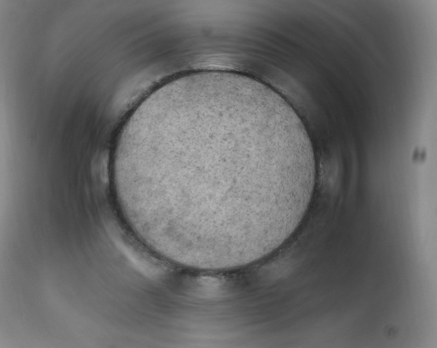 X0000112970302200909031052