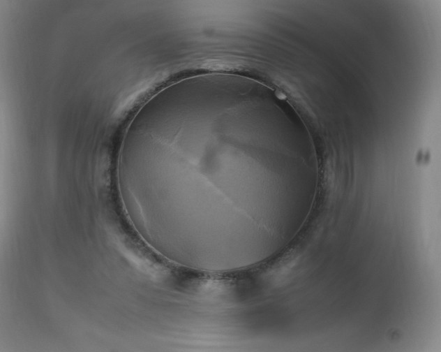 X0000112970303200909031052