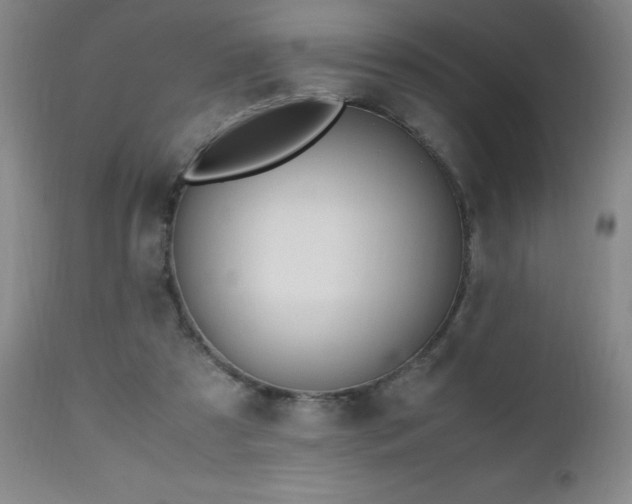 X0000112970305200909031052