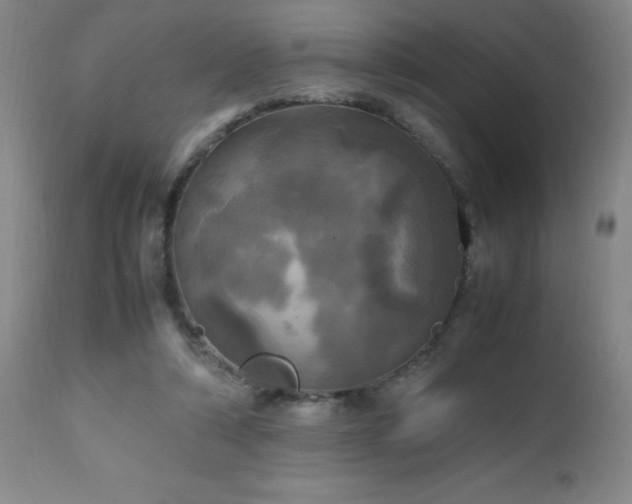 X0000112970306200909031052