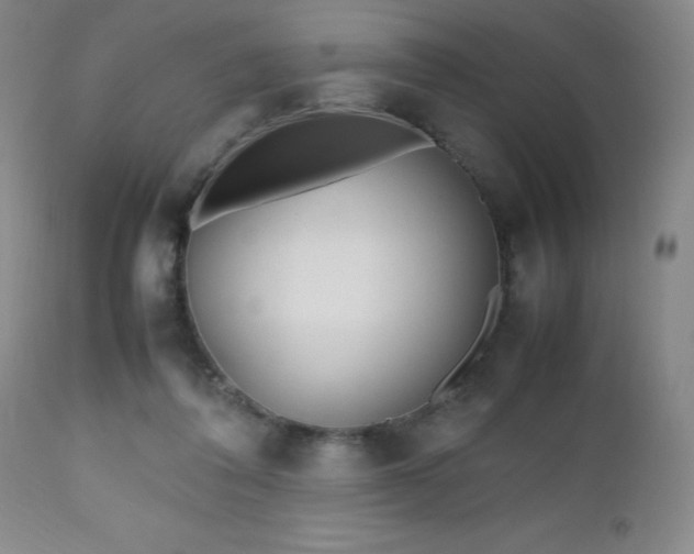 X0000112970308200909031052