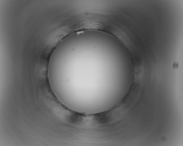 X0000112970309200909031052