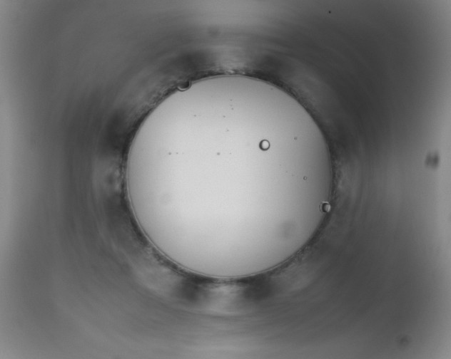 X0000112970313200909031051