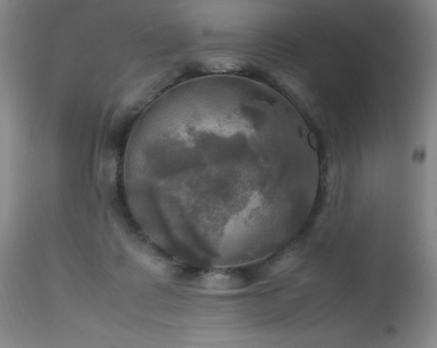 X0000112970315200909031051