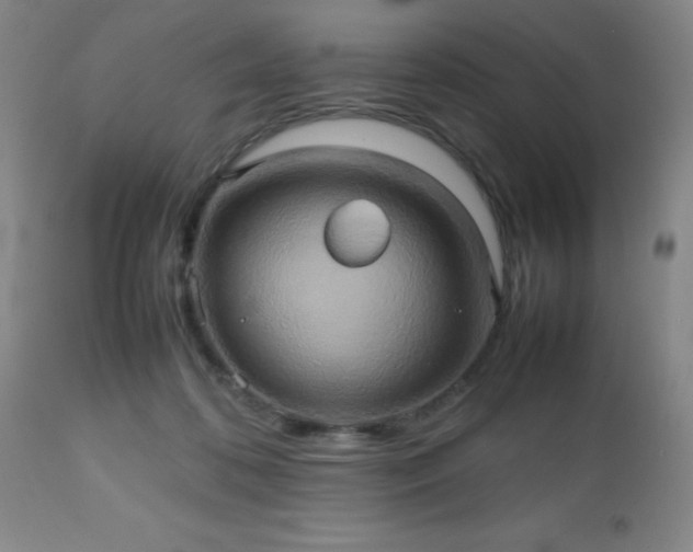 X0000112970316200909031051