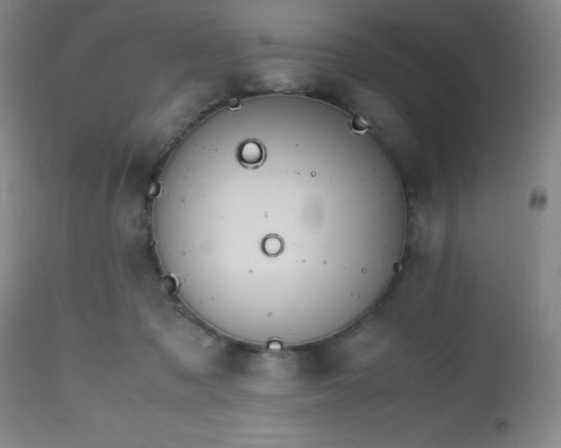 X0000112970317200909031051