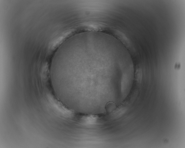 X0000112970318200909031051