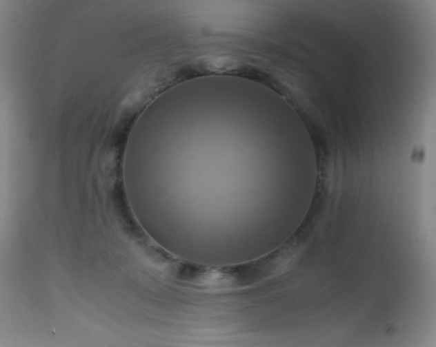 X0000112970319200909031051