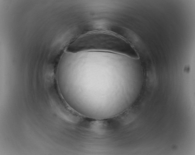 X0000112970320200909031051