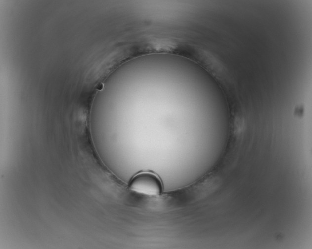 X0000112970321200909031051