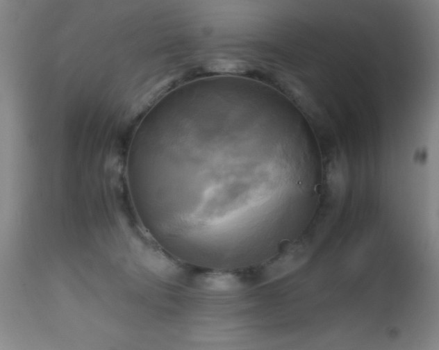 X0000112970322200909031051