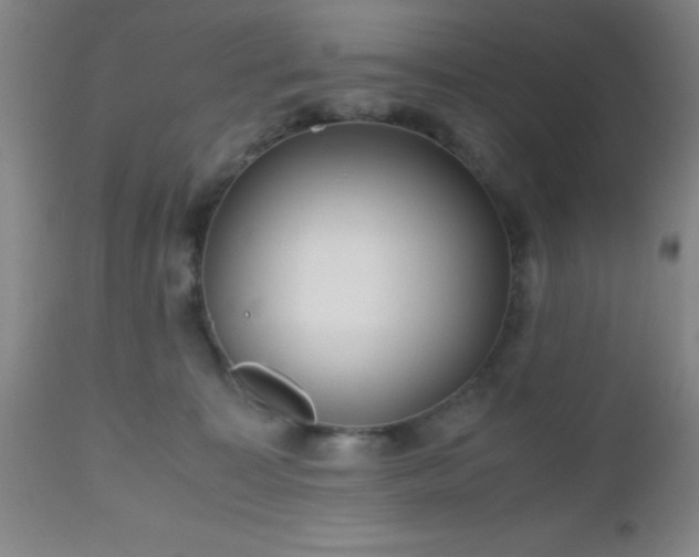 X0000112970323200909031051