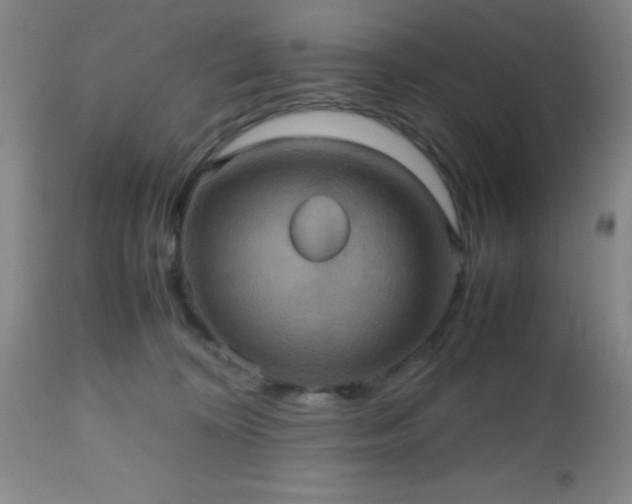 X0000112970324200909031051