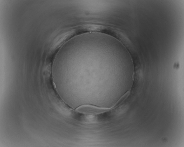 X0000112970325200909031051