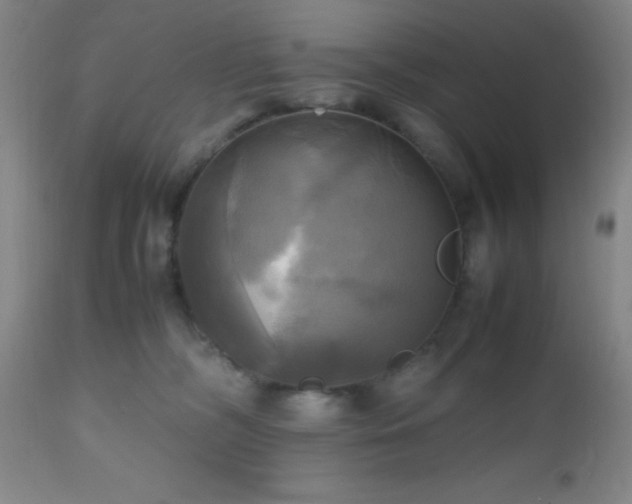 X0000112970326200909031051