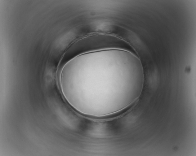 X0000112970328200909031051