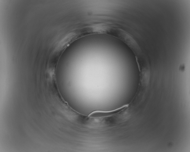 X0000112970329200909031051