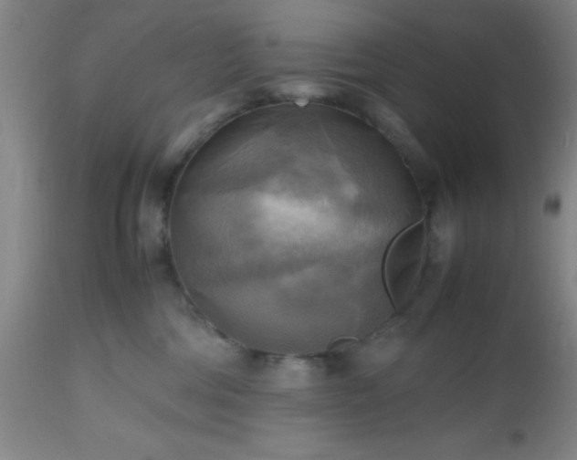 X0000112970330200909031051