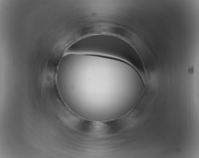 X0000112970333200909031051