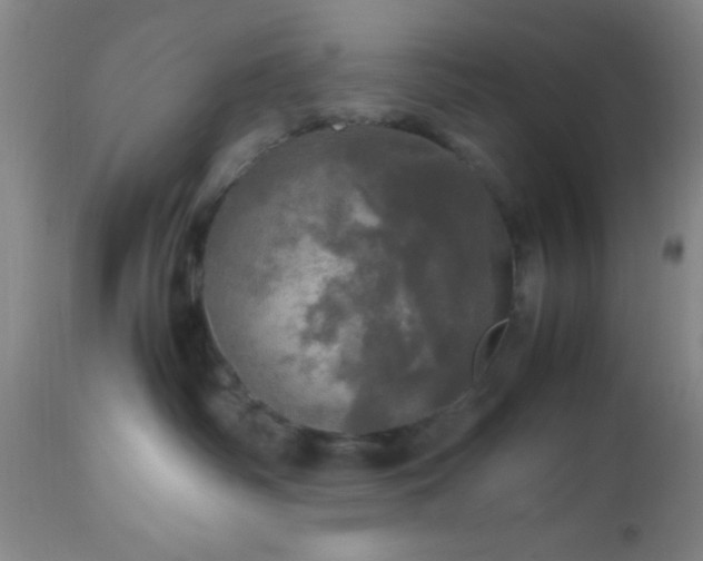 X0000112970334200909031051