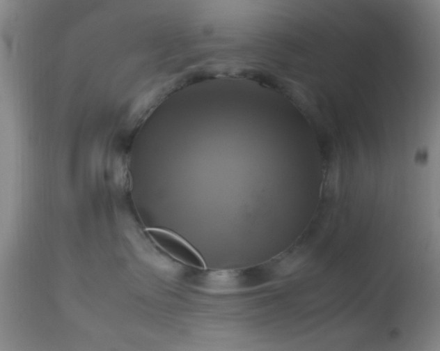 X0000112970335200909031051