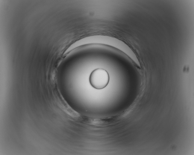 X0000112970336200909031051