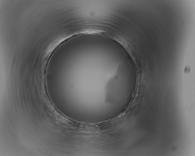 X0000112970337200909031050