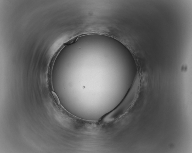 X0000112970340200909031050