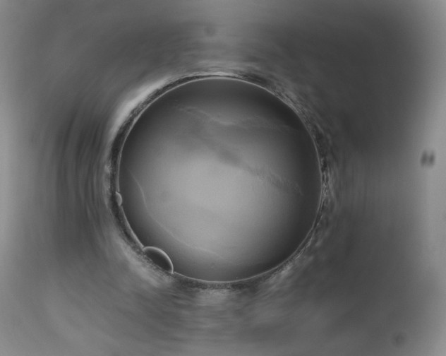 X0000112970342200909031050